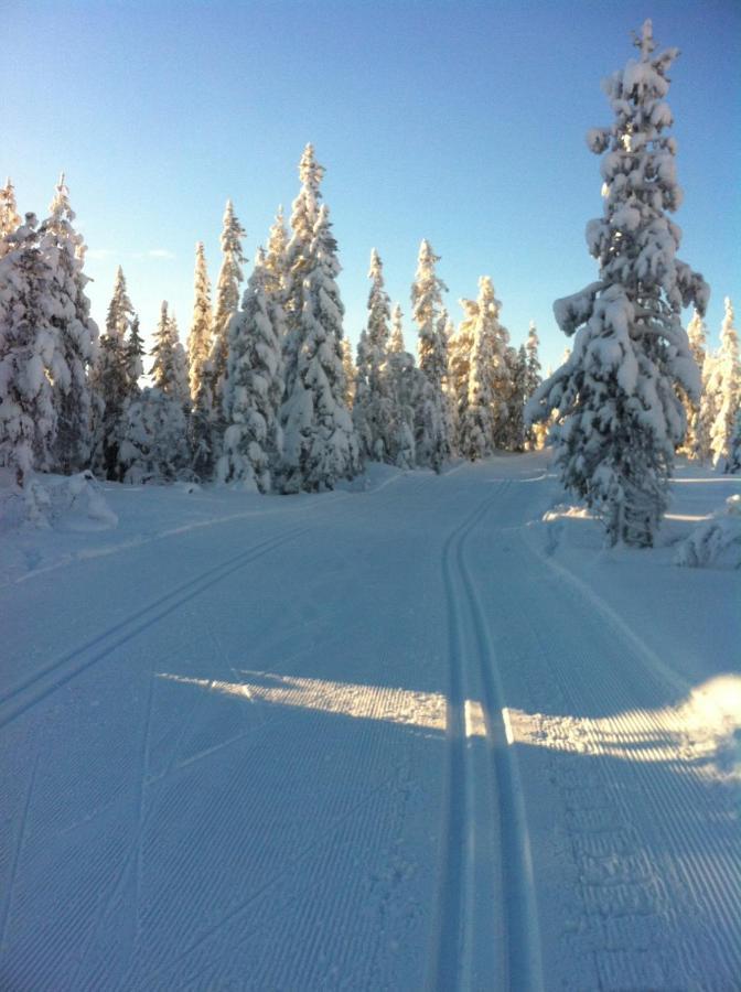 Koselig Hytte - Trysilfjellet Naert Til Sykkel- Og Turstier - 4 Soverom, 2 Bad, Badstue, Fiber Bredband Og Elbillader Buitenkant foto
