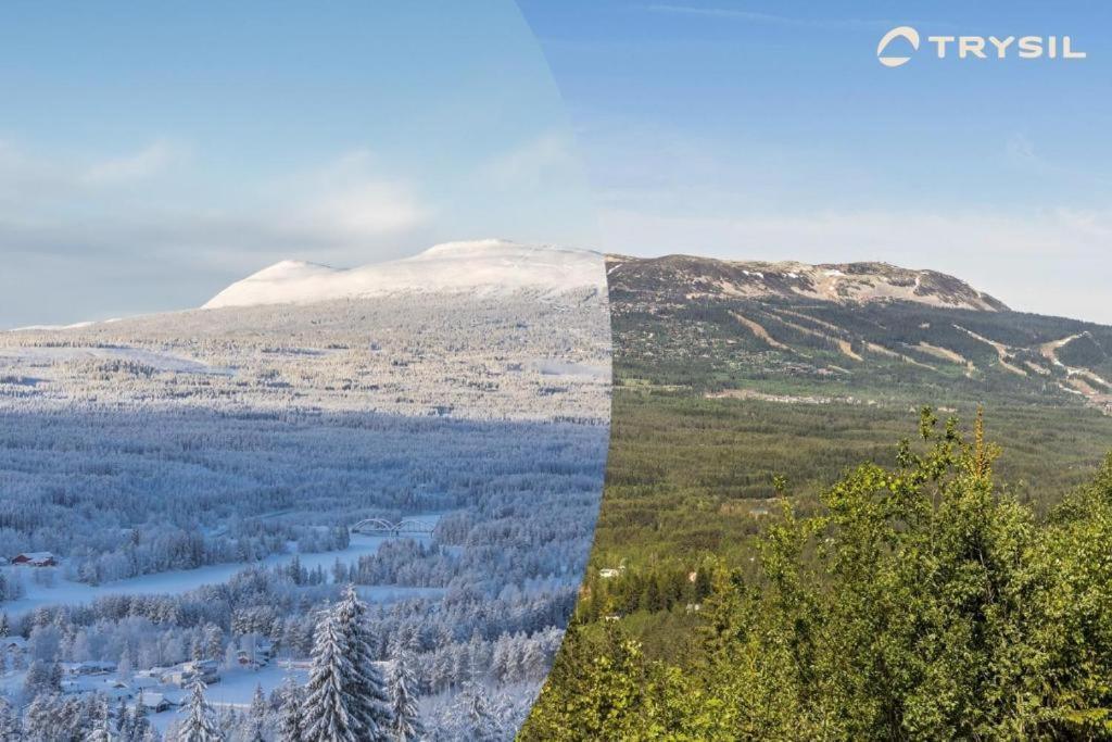 Koselig Hytte - Trysilfjellet Naert Til Sykkel- Og Turstier - 4 Soverom, 2 Bad, Badstue, Fiber Bredband Og Elbillader Buitenkant foto