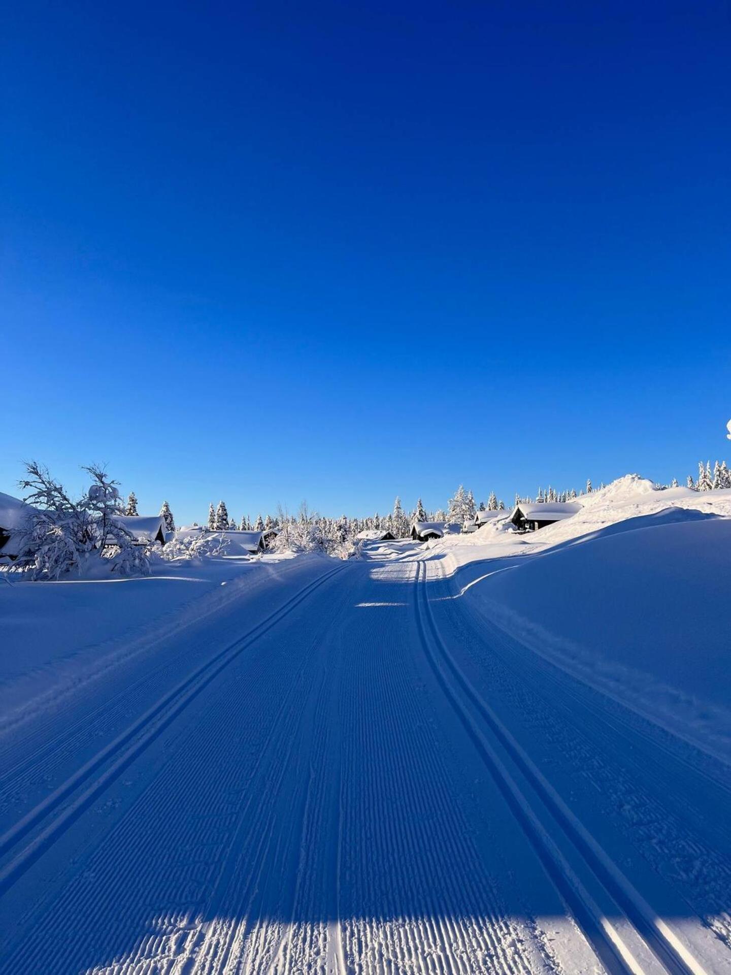 Koselig Hytte - Trysilfjellet Naert Til Sykkel- Og Turstier - 4 Soverom, 2 Bad, Badstue, Fiber Bredband Og Elbillader Buitenkant foto