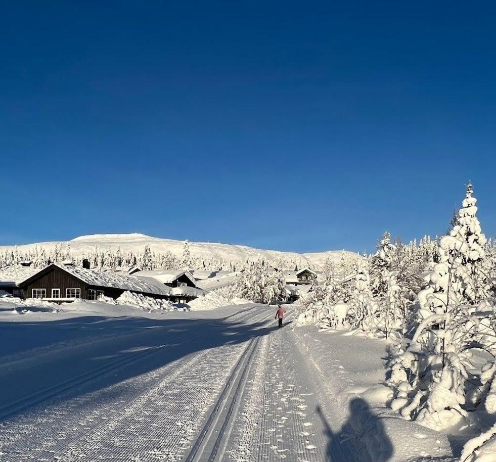 Koselig Hytte - Trysilfjellet Naert Til Sykkel- Og Turstier - 4 Soverom, 2 Bad, Badstue, Fiber Bredband Og Elbillader Buitenkant foto